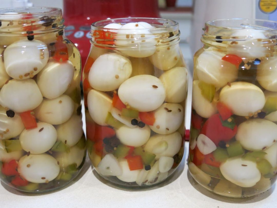Pickled Food Culture At Evelyn Culver Blog